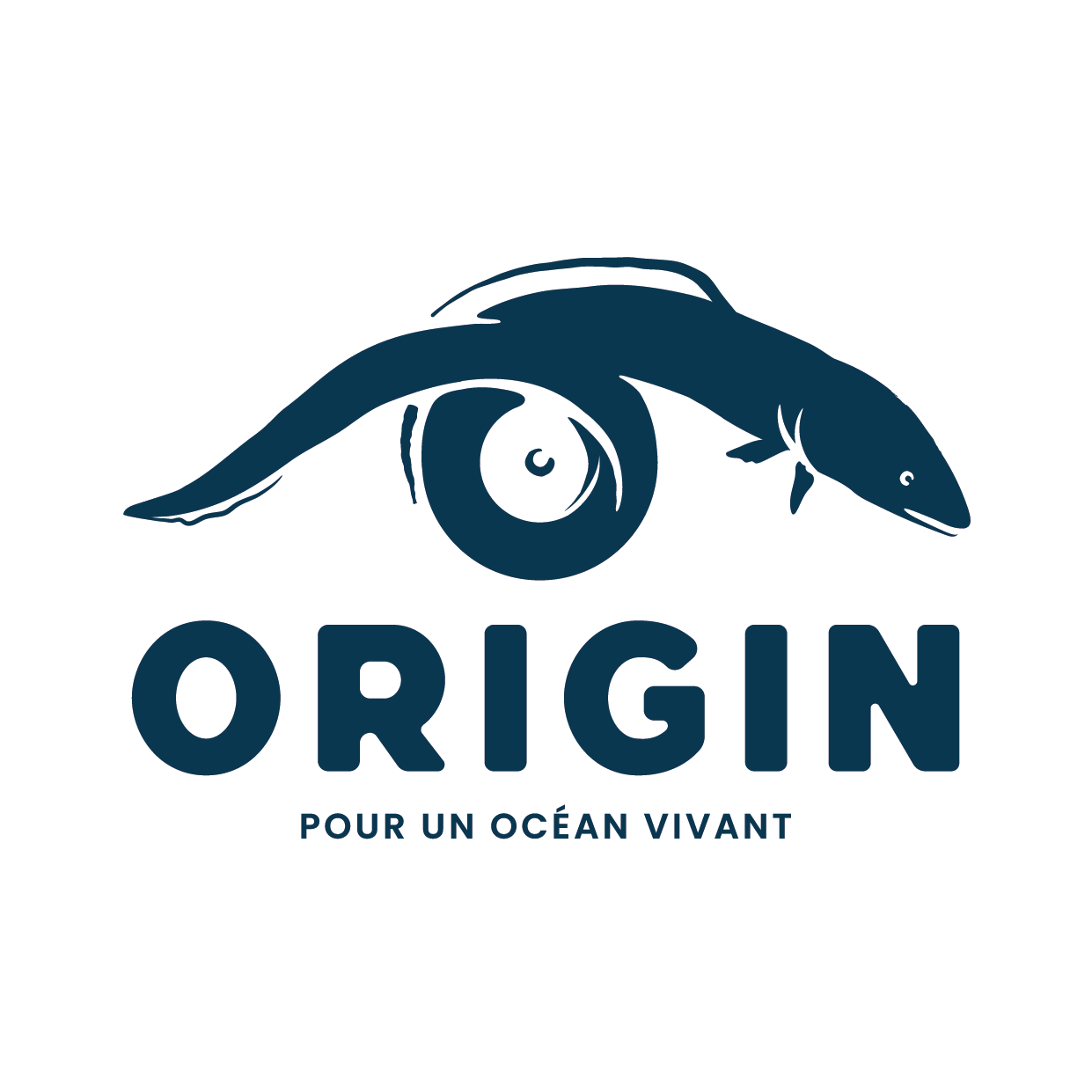 Image du projet