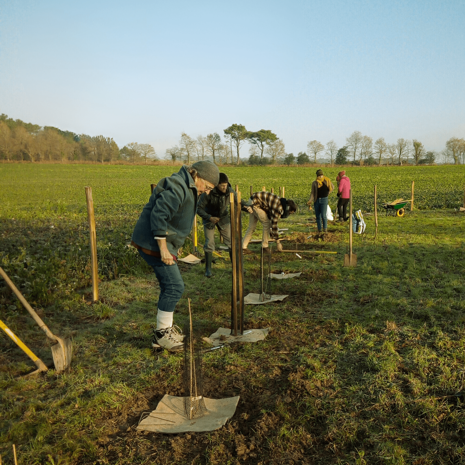 Image du projet